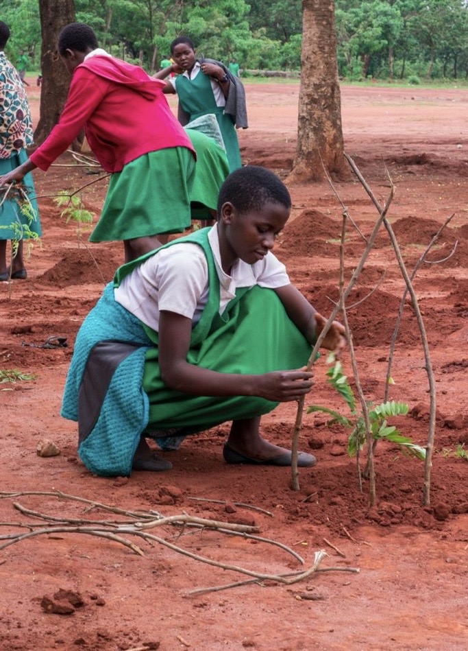 Community Tree Planting – Malingunde Primary School